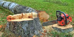 Reliable Highland Village, TX Tree Removal Services Solutions