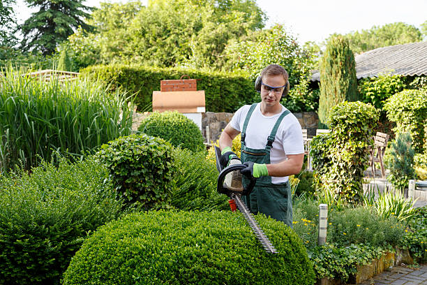 Lawn Irrigation Installation and Maintenance in Highland Village, TX